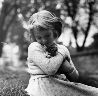 Illustration de l'article : 18 photos illustrant le lien unique entre les chats et les enfants