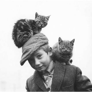 Illustration de l'article : 18 photos illustrant le lien unique entre les chats et les enfants