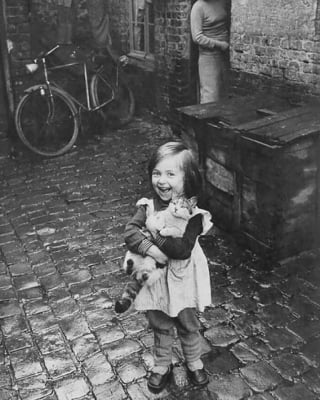 Illustration de l'article : 18 photos illustrant le lien unique entre les chats et les enfants