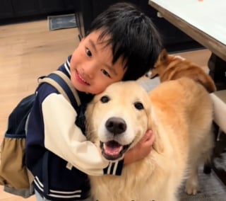 Illustration de l'article : Très attaché à son petit humain, ce Golden Retriever l’attend tous les soirs devant la porte pour lui offrir le plus tendre des accueils (vidéo)