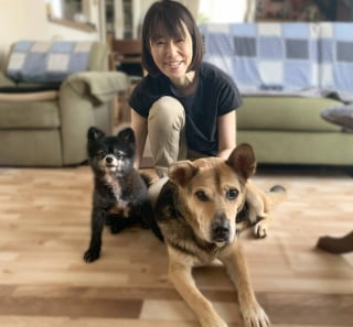 Illustration de l'article : Placé en famille d’accueil, ce vieux chien de 14 ans finit par faire craquer sa bienfaitrice qui décide de l’adopter