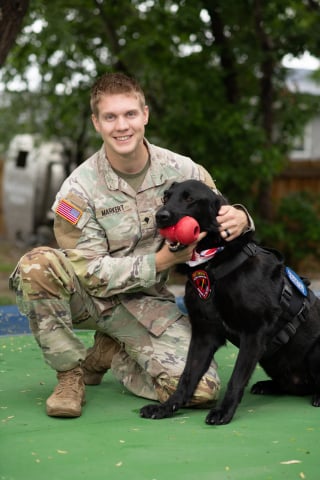 Illustration de l'article : Ce chien de l’armée a parcouru 2600 km pour quitter son chenil, retrouver son ancien coéquipier et vivre sous son toit