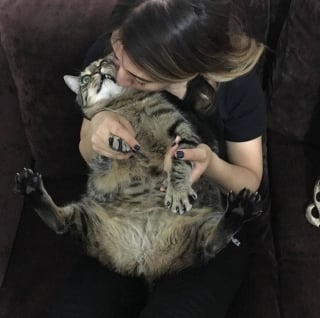 Illustration de l'article : 14 photos hilarantes de chats qui ont une petite particularité