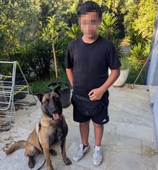 Illustration de l'article : Un chien gendarme entame sa prometteuse carrière par le sauvetage d'un garçon de 11 ans disparu