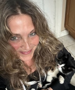 Illustration de l'article : Un chaton fait 400 km caché dans la carrosserie d'une voiture électrique, les secours luttent des heures pour le déloger