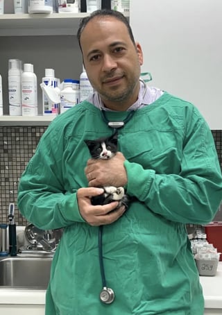 Illustration de l'article : Un chaton fait 400 km caché dans la carrosserie d'une voiture électrique, les secours luttent des heures pour le déloger