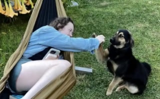 Illustration de l'article : Un chien jette son dévolu sur une voyageuse anglaise venue au Pérou et lui fait comprendre qu’elle ne pourra pas repartir sans lui