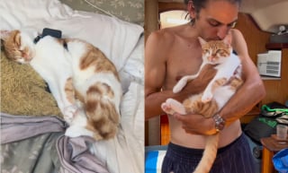Illustration de l'article : Plus d'un an après son adoption sur les côtes grecques, cette chatte continue de vivre sa vie d’aventure sur un voilier (vidéo)