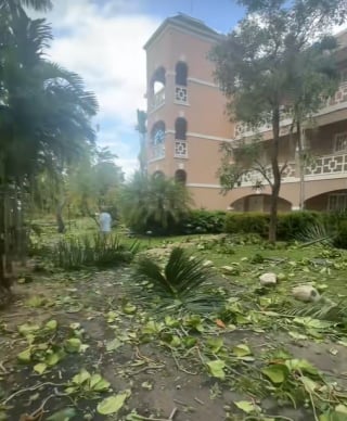 Illustration de l'article : Alors que l'hôtel refusait d'abriter l'animal, une touriste livre une bataille acharnée pour protéger ce chat aveugle de l'ouragan