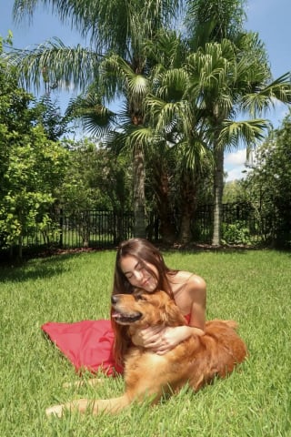 Illustration de l'article : Déçu de ne trouver aucun ami au parc pour jouer, la tristesse de ce chien s'envole lorsqu'une voiture familière se gare enfin (vidéo)