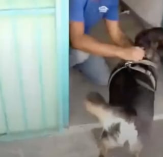 Illustration de l'article : « Un moment que nous n’oublierons jamais », après 5 années loin l’un de l’autre, cet homme et son chien se retrouvent enfin