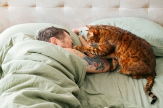 Illustration de l'article : 10 animaux obligés de cohabiter avec une autre boule de poils avec qui ils adorent se disputer