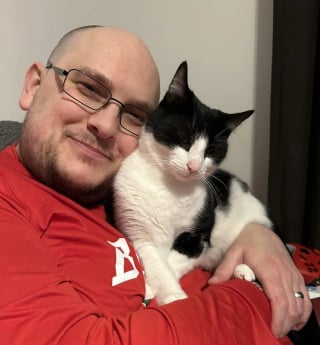 Illustration de l'article : 11 chats que le destin a placés sur la route de leur famille pour la vie