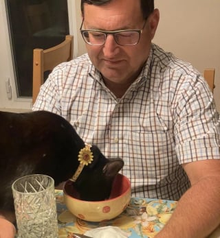 Illustration de l'article : 11 chats que le destin a placés sur la route de leur famille pour la vie