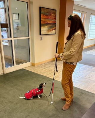 Illustration de l'article : En compagnie de son Teckel, cette femme tente de sensibiliser le public à l’importance des chiens d’assistance