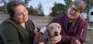 Illustration de l'article : La famille d'un chien disparu dans la nature place ses ultimes espoirs entre les mains d'un opérateur de drone expérimenté et déterminé