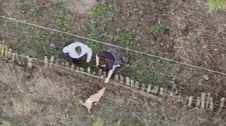 Illustration de l'article : La famille d'un chien disparu dans la nature place ses ultimes espoirs entre les mains d'un opérateur de drone expérimenté et déterminé