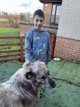 Illustration de l'article : Un garçon au grand coeur décide d'offrir l'argent de son anniversaire au refuge local et rencontre les chiens qui y vivent