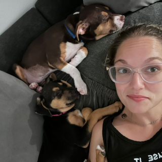 Illustration de l'article : Un couple ouvre la porte de leur nouveau jardin et filment la réaction euphorique de leurs 4 chiens impatients d'en profiter (vidéo)