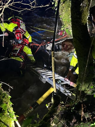 Illustration de l'article : La responsable d'un refuge lutte pour sauver ses chiens pris au piège par des inondations soudaines