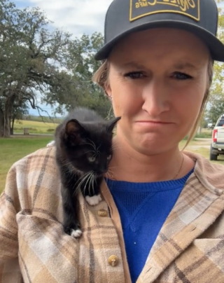 Illustration de l'article : Une semaine après avoir déménagé, une mère de famille endeuillée voit un chaton apparaître comme par magie dans son nouveau jardin