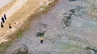 Illustration de l'article : « Il était à bout de forces », un drone et un bateau s'unissent pour sortir un chien du canal et le sauver de la noyade