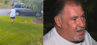 Illustration de l'article : Une promenade matinale vire au cauchemar quand un prédateur attaque un Yorkshire, sauvé in extremis par des voisins héroïques