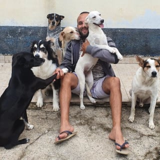 Illustration de l'article : 15 photos remplies d&rsquo;amour qui montrent la tendre relation d&rsquo;un facteur avec les chiens de ses clients