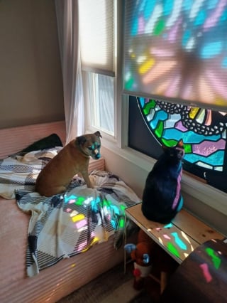 Illustration de l'article : 15 adorables photos de chiens ou de chats partagées par des amoureux de leurs compagnons