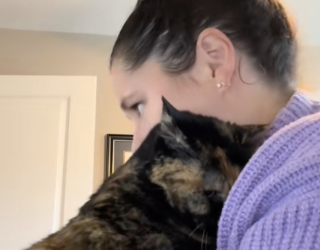 Illustration de l'article : Un couple adopte 2 vieux chats délaissés au refuge et partage son expérience pour inspirer les futurs adoptants (vidéo)