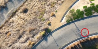 Illustration de l'article : Inquiète pour sa chienne en fugue et pétrie de panique, une femme place ses ultimes espoirs entre les mains d'un télépilote de drone (vidéo)