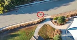 Illustration de l'article : Inquiète pour sa chienne en fugue et pétrie de panique, une femme place ses ultimes espoirs entre les mains d'un télépilote de drone (vidéo)