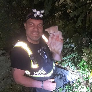 Illustration de l'article : Guidés en pleine nuit par des miaulements dans les bois, des sauveteurs changent le destin d'un chaton épuisé et transi de froid