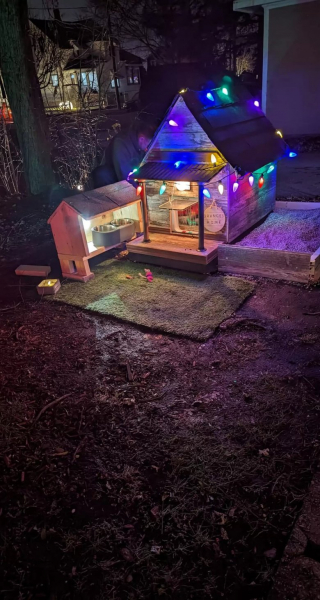 Illustration de l'article : Inquiet pour l’avenir d’un chat errant, ce couple décide de lui construire un abri de luxe pour passer l'hiver