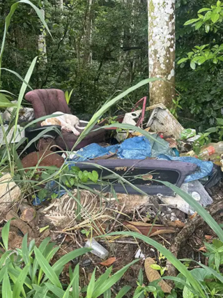 Illustration de l'article : « Une puce au cœur tendre qui mérite une belle vie en famille », cette chienne au passé difficile rêve d’être adoptée