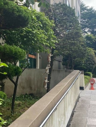 Illustration de l'article : 20 photos insolites qui prouvent que nos amis les animaux sont les meilleurs pour nous faire rire