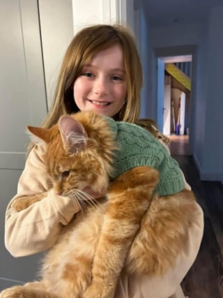 Illustration de l'article : &laquo; Il &eacute;tait coll&eacute; &agrave; elle &raquo;, retrouv&eacute; 10 semaines apr&egrave;s sa disparition, ce chat refuse de quitter les bras de sa petite ma&icirc;tresse de 9 ans