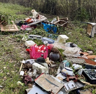 Illustration de l'article : La découverte d'un chien abandonné parmi des déchets choque forces de l'ordre, mairie et habitants