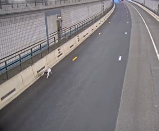 Illustration de l'article : Automobilistes et policiers joignent leurs efforts pour sauver un chien courant &agrave; contre-sens dans un tunnel (vid&eacute;o)