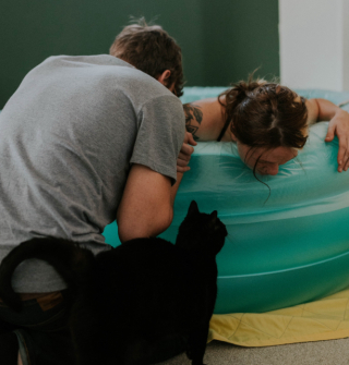 Illustration de l'article : Alors que son humaine pr&eacute;f&eacute;r&eacute;e accouche &agrave; la maison, ce chat reste &agrave; ses c&ocirc;t&eacute;s pour la soutenir et adopte un comportement touchant (vid&eacute;o)