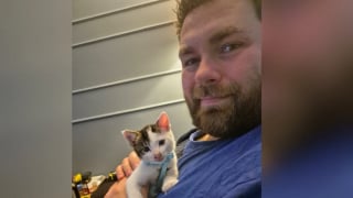 Illustration de l'article : Des employés du service des déchets s’apprêtent à détruire un tas de bois quand des miaulements retiennent soudainement leur attention