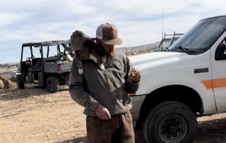 Illustration de l'article : « Les chats adorent les gens qui n’aiment pas les chats », une minette farouche noue un lien unique avec un homme qui n'apprécie pas les félins (vidéo)