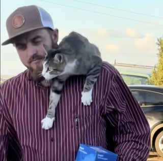 Illustration de l'article : « Les chats adorent les gens qui n’aiment pas les chats », une minette farouche noue un lien unique avec un homme qui n'apprécie pas les félins (vidéo)