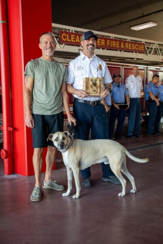 Illustration de l'article : « Vous lui avez sauvé la vie », un chien retourne voir les pompiers qui l’ont tiré des flammes dix-sept jours plus dans un moment plein d'émotion