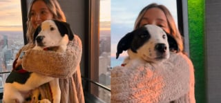 Illustration de l'article : Un chiot choisit une &eacute;l&egrave;ve pendant un cours de yoga, cette rencontre pleine de tendresse change leurs vies