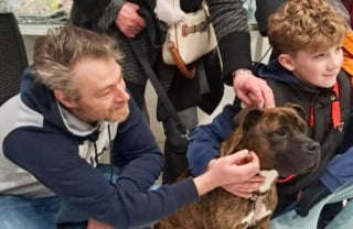 Illustration de l'article : Enferm&eacute; dans une cave pour ne pas ab&icirc;mer le nouveau canap&eacute; et salir la maison, ce chien d&eacute;couvre enfin &laquo; la vraie vie &raquo;