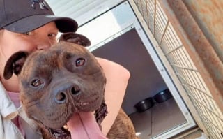 Illustration de l'article : Enferm&eacute; dans une cave pour ne pas ab&icirc;mer le nouveau canap&eacute; et salir la maison, ce chien d&eacute;couvre enfin &laquo; la vraie vie &raquo;