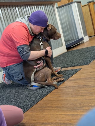 Illustration de l'article : En traquant un chien errant squelettique, des sauveteurs d&eacute;couvrent 15 autres animaux en danger et les mettent aussit&ocirc;t en s&eacute;curit&eacute; (vid&eacute;o)