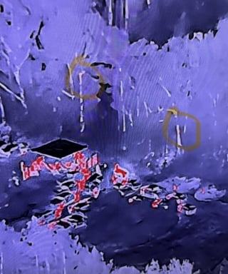 Illustration de l'article : En sauvant 2 chiens forcés à se battre, les forces de l'ordre démantèlent tout un réseau de cruauté animale et interpellent 45 de ses acteurs