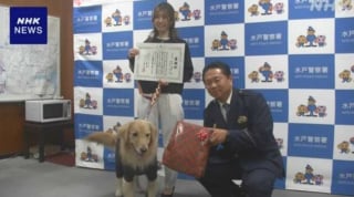 Illustration de l'article : Une chienne insiste pour rester près d'une octogénaire assise par terre, sa propriétaire passe à l'action quand elle découvre la raison